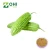 Import Good quality bitter melon seeds extract/bitter melon powder for sale from China