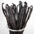 Import Good quality Vanilla Beans from Thailand