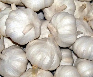Grade 1 Quality Fresh Peeled Garlic With Cheap