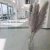 Gray natural Pampas grass, dried flowers, living room accessories, peacock feathers