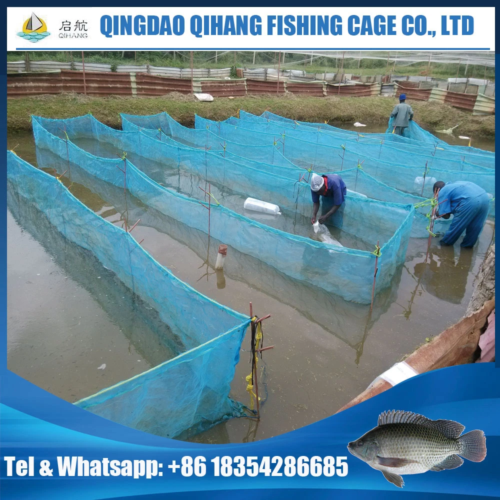 Buy Hapa Net Cage Fishing Nets Company, Tilapia Fingerlings Fish Farming  from Qingdao Qihang Fishing Cage Co., Ltd., China
