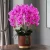 Import High-end artificial flowers with vase simulation phalaenopsis suit PU feel plastic flower arrangement indoor decoration from China