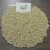 Import High Quality Creamy White/Yellow Sorghum in Bulk from India