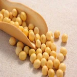 High Quality GMP Kosher Natural Instant Soy Milk Powder