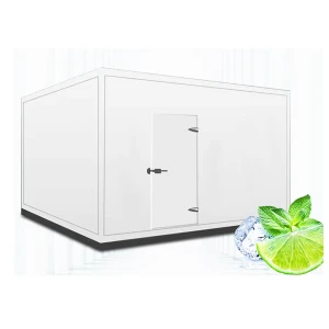 high quality Newest design cold room walk in freezer with low price ice bin ice storage  Cold storage