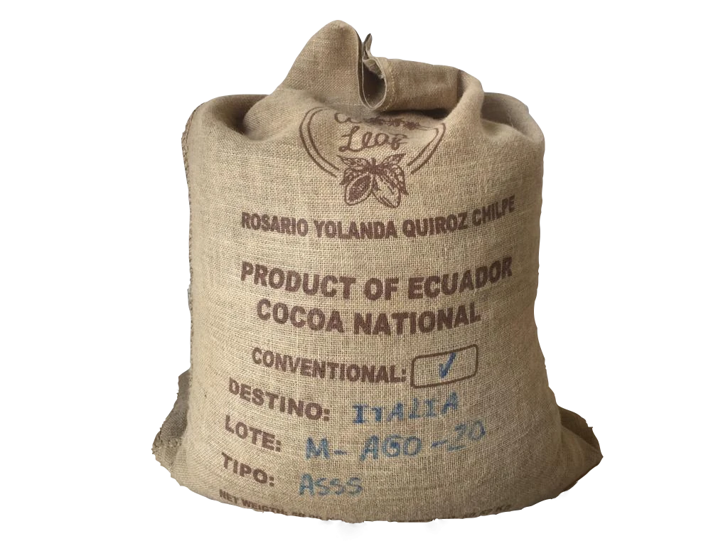 High Quality Raw Arriba Cacao Cocoa Beans From Ecuador