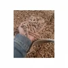 HIGH QUALITY WOOD PELLET FOR EXPORT