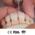 Import High Strength Dental zircon disks / dental zirconia blanks for open system from China