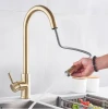 Holmine Brushed Gold Kitchen Faucet Pull Out Kitchen Sink Water Tap Single Handle Mixer Tap 360 Rotation Kitchen Shower Faucet
