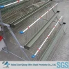 Hot galvanized chicken wire mesh cage for egg laying hens
