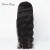 Import Hot Sale 14-28inches 100% Human Hair Lace Wig 150% density 13x4 frontal lace natural black from China