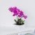 Import Hot sale artificial plastic orchid potting beautiful ornamental plants with cement flowerpot from China
