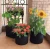 Import hot sale  black grow pot vegetables planting bags from China