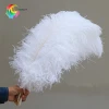 Hot sale cheap 70-75cm large white natural ostrich feathers for wedding decoration