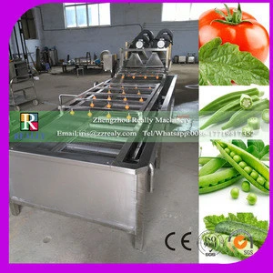 Hot Sale Fruit Pulp Processing Machinery, Industrial Fruit and Vegetable Washing Machine Price