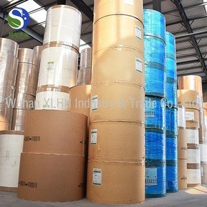 hot sale professional PE/PLA  coated paper for cup/bowl making