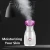 Hot Sale Thermal Spray Steamer Facial With Multifunction