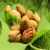 Import Hot Sales Healthy High Quality Grade Pecan Nuts Bleached Non-Bleached Pecans Nut From China from China