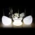 Import Hot sell illuminated led chair and table PE plastic led club bar set from China
