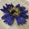 HOV4009 Lan lian hua Wholesale Natural Dried Blue Lotus Flower Tea Nymphaea tetragona