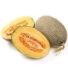 Hybrid F1 Best Quality Melon Seeds Vegetable Seeds Rui Li 17