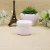 Import IBELONG hot sale 20g 50g 100g 250g  empty white plastic cosmetic jar for cream from China