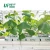 Import individually wrapped rock wool slab hydroponic strawberry tomato growing rockwool cubes planting slab hidroponik grow plant slab from China