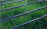 Inner inlaid round drip irrigation tube system