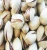 Import Inshell -High Quality Raw Pistachios in Bulk from South Africa