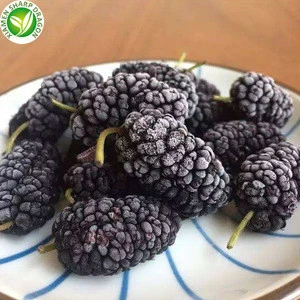 IQF Fruit product frozen black mulberry