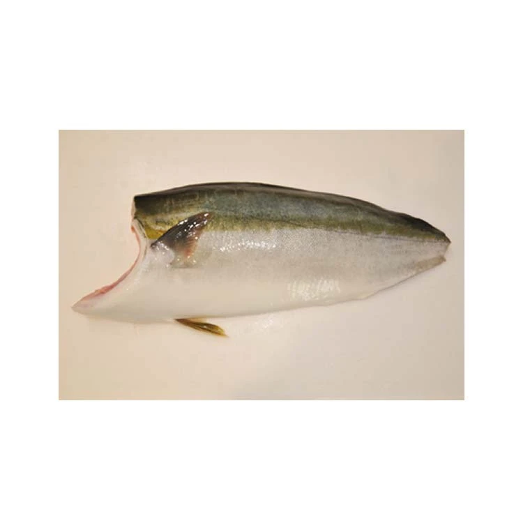 Japanese frozen seafood food fish used in sushi with good price
