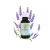 Import Lavender Flavour for fragrance oil in candle in perfume in ilaundry detergent and softener products from China