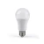 Import Low Price Wholesale Plastic LED Bulb Housing A60 5W 6W 8W 9W 11W 12W 13W 17W E27 Lights LED Lamp Bulb from Pakistan