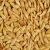 Import Malted Barley Flour Best Quality from Netherlands