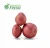 Import Mexico Grown POTATO Vegetables RED Potato Robinson Fresh MOQ 50 LBS Quick Delivery in US from USA