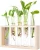 Import Modern Flower Bud Vase in Burlywood Stand Rack with 5 Test Tube from China