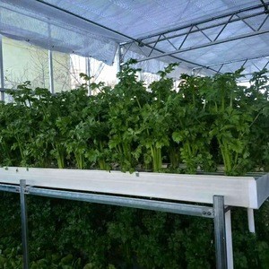 most selling agricultural products plastic for commercialhydroponic systems