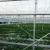 Import Multi-span Large Agricultural Plastic Film Greenhouse Tomato Greenhouse Vegetable Greenhouse from China