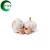 Multifunctional odorless garlic extract with low priceCAS:539-86-6