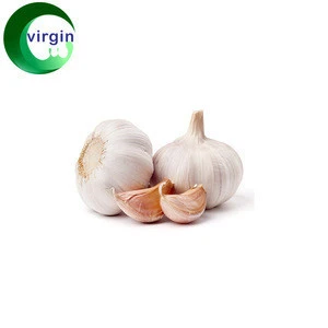Multifunctional odorless garlic extract with low priceCAS:539-86-6