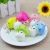 Import Mushroom Food Scent Foam Stress Fun Play Squeezer Ball Reliever Gift Slow Rising Education Squishy Customized Factory Supply Toy from China