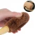 Import Natural Coconut Palm Brush Long Handle Bottle Brush Kitchen Wash Cup Zero Waste Coconut Fiber Cleaning Brush from China