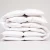 Import Natural Comfort 100% Down Feather Bed Comforter Goose Down Comforter from China