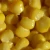 Import Natural food canned sweet corn canned kernel corn from China