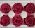 Import Natural Fresh Cut Flowers Wholesale Preserved Roses Christmas Promotinal Gift 5-6cm 6Pcs/Box Rose Head from China