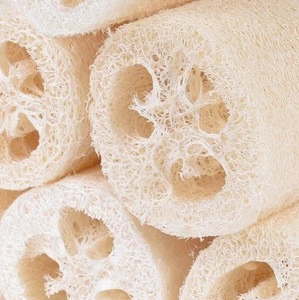 Natural loofah sponge used for washing dishes/ bath