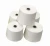Import Ne30 Cationic  Polyester bamboo  50/50 Blended ring spun Yarn Raw White from China