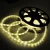 New design round 2 wires led rope light manufactured in China