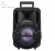 Import New popular DJ sound trolley speaker with LED light music system with USB FM support karaoke from China