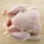 Import NEW Quality Halal Frozen Whole Chicken from China